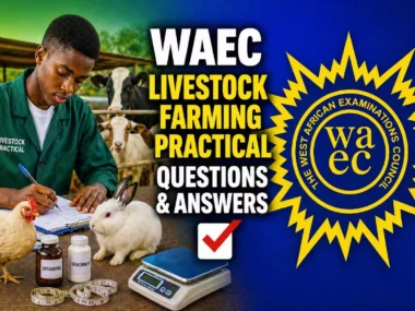 WAEC Livestock Farming Practical 2026 Questions And Answers