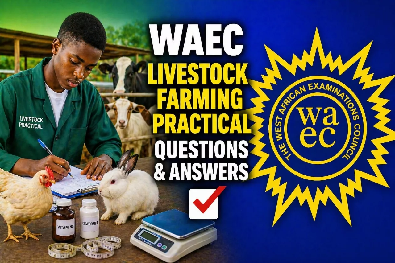 WAEC Livestock Farming Practical 2026 Questions And Answers